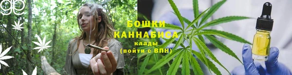 первитин Михайлов